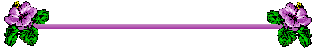 violetbar.gif
